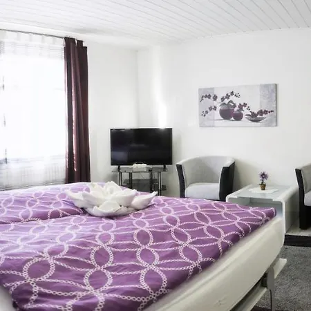 In Innenstadtnaehe Apartment
