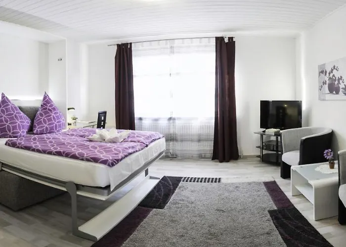 Apartment In Innenstadtnaehe Darmstadt